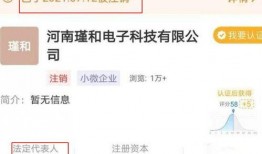 错生网络在线观看,揭秘虚拟世界中的真实人生